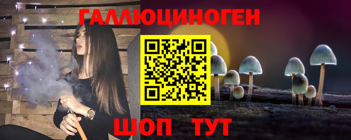 где можно купить   Вход с VPN  Благодарный  Псилоцибиновые грибы прущие грибы 